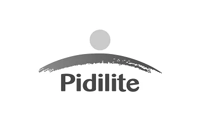 pidilite